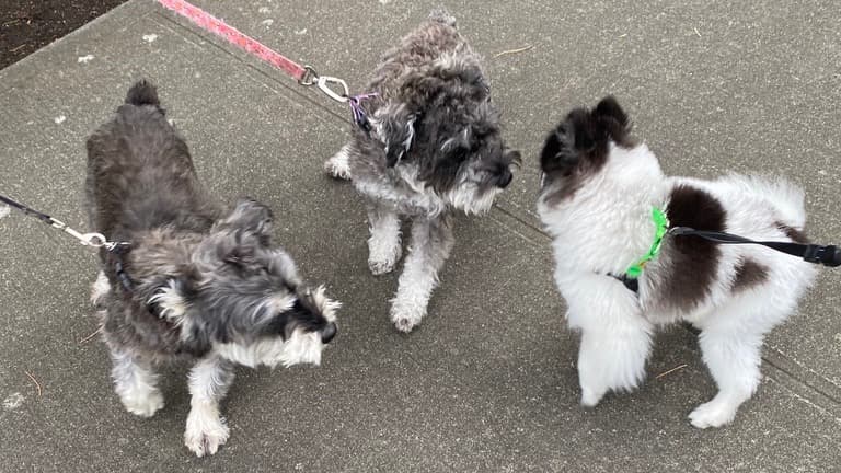 這是我說「我愛你」的方式, 有些愛,只能用陪伴完成。