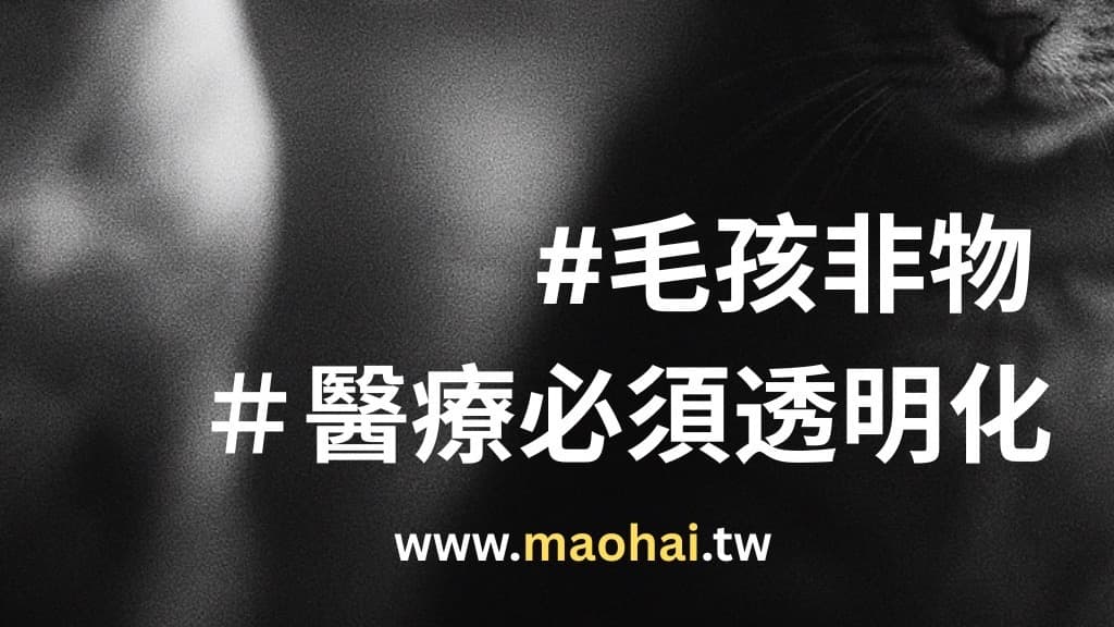 為無法發聲的狗狗貓貓一起發聲