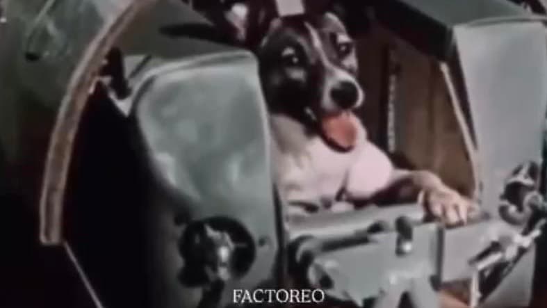 第一隻上太空的狗狗