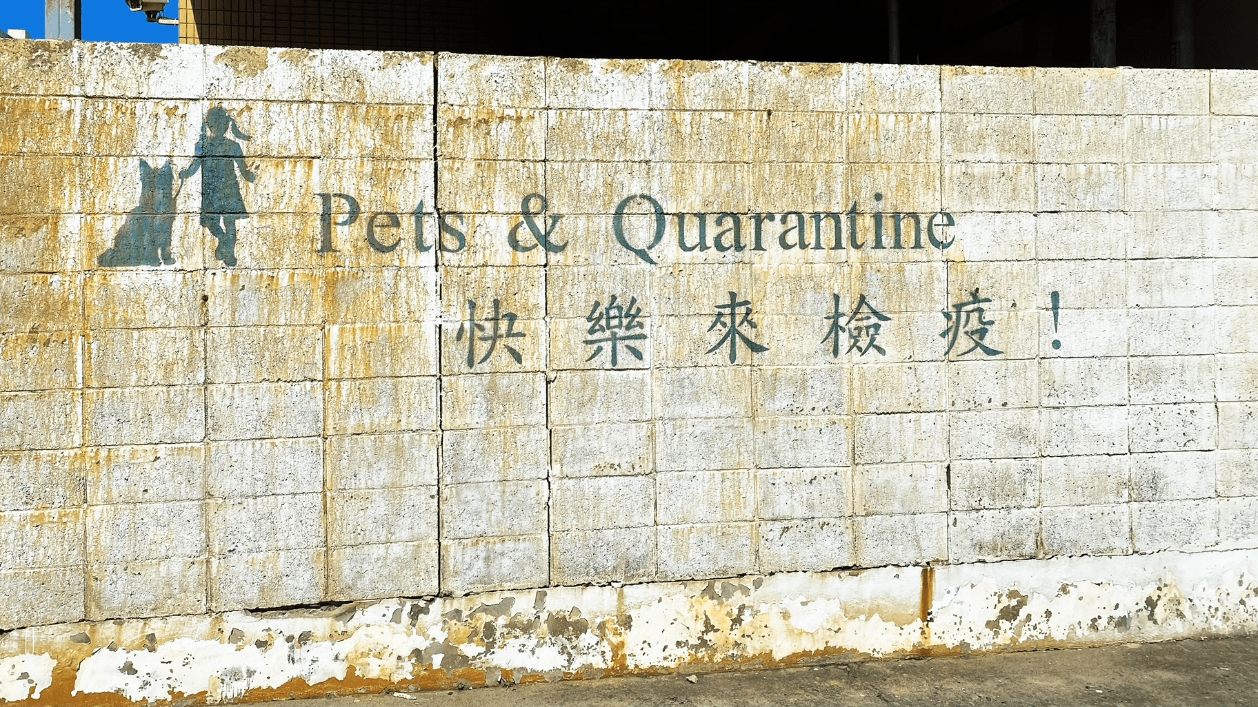 為什麼我們要力推台灣寵物入境免隔離?